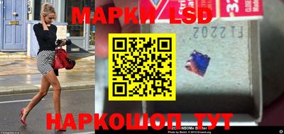 прущие грибы Будённовск