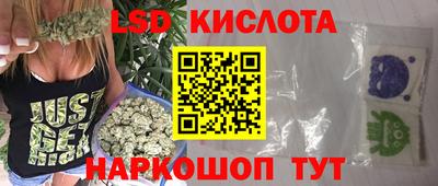 прущие грибы Будённовск