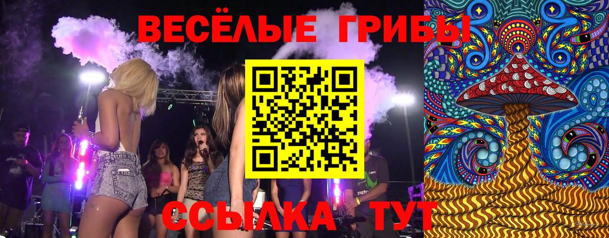 Отрадный  Галлюциногенные грибы GOLDEN TEACHER  Вход с VPN  Псилоцибиновые грибы MAGIC MUSHROOMS 